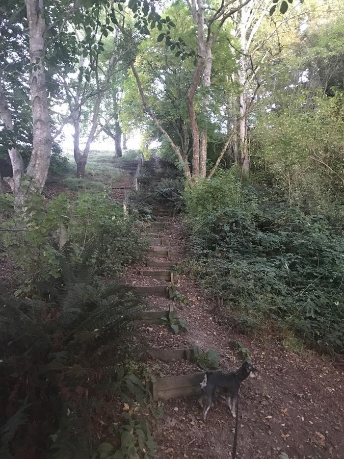 布莱尔阿托尔住宿加早餐旅馆 巴尔克拉萨 外观 照片